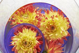 5 pomysłów na kompozycje kwiatowe z daliami