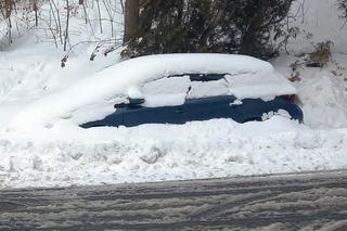 Wrócił koszmar kierowców. Za ten błąd sypią się mandaty. Nawet 3 tys. zł