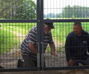 Rolnicy. Podlasie. Andrzej z Plutycz ma ogromny problem. Już żadnej kury nie mam