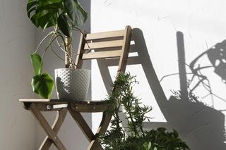 Rośliny to naturalny filtr powietrza 