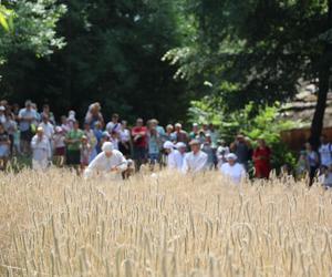 Tak wyglądało kiedyś żniwowanie na polskiej wsi