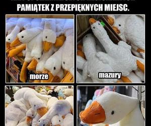 Tak się śmieją z Polski i Polaków! TOP 40 najśmieszniejszych memów