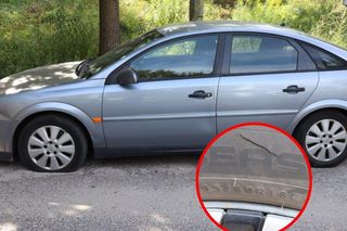 Policja złapała seryjnego wandala! Zniszczył auta i okradł działkowca