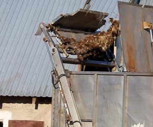 Potworny los zwierząt w Idzbarku. To była umieralnia. Gospodarz usłyszał zarzuty!