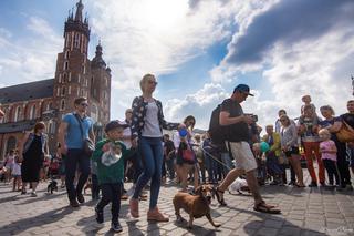 Kraków: Marsz Jaminików 2018. Zobaczcie najlepsze przebrania! [ZDJĘCIA]