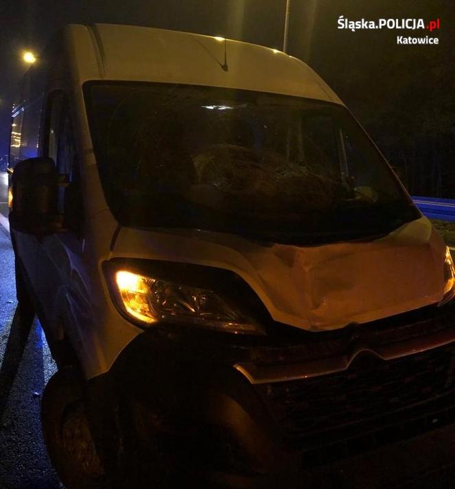 Katowice. ŚMIERĆ zebrała żniwo na drogach. Policjanci apelują do mieszkańców