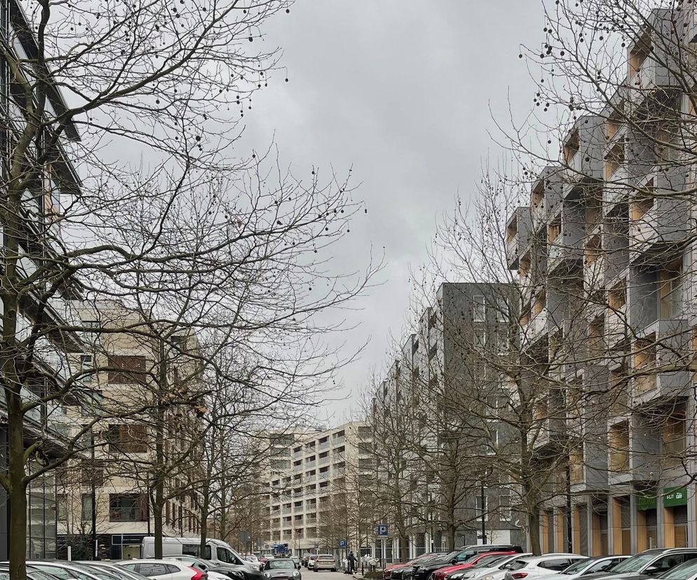 Ulica w 19. Dzielnicy w Warszawie z licznymi samochodami zaparkowanymi wzdłuż chodnika. Po obu stronach ulicy widoczne nowoczesne budynki mieszkalne z wyraźną, jasną elewacją. Gołe drzewa bez liści podkreślają jesienny lub zimowy charakter zdjęcia. Architektura Murator Plus to miejsce, gdzie można znaleźć inspiracje architektoniczne.