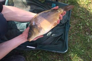 Najlepsze łowisko w Małopolsce. Zdaniem AI to miejsce jest rajem dla wędkarzy