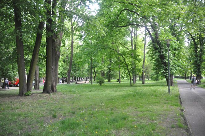 Park Miejski w Kielcach. Wiosna 2025