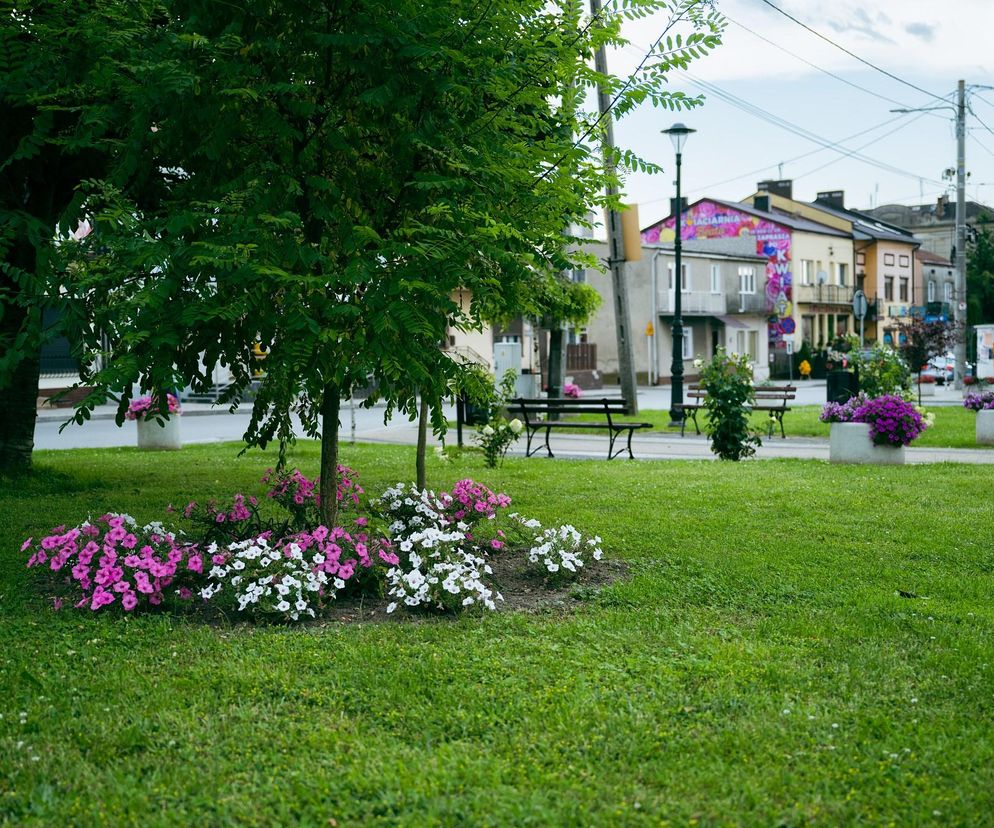 Klimontów 
