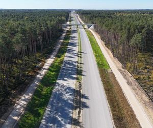 Budowa drogi S19 na odcinku Boćki (bez węzła) - Malewice