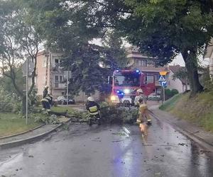 Strażacy przyjęli około 160 zgłoszeń związanych z silnym wiatrem w Lubuskiem