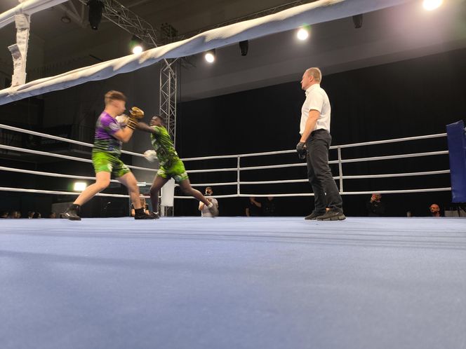 Walczyli dla Krystiana. Charytatywna gala boksu Hero Boxing Fighters 3 „Jungle”