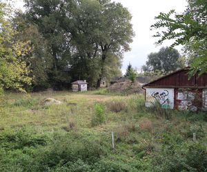 Jesienna odsłona terenów nad Bystrzycą w Lublinie. Tak się prezentuje w październiku