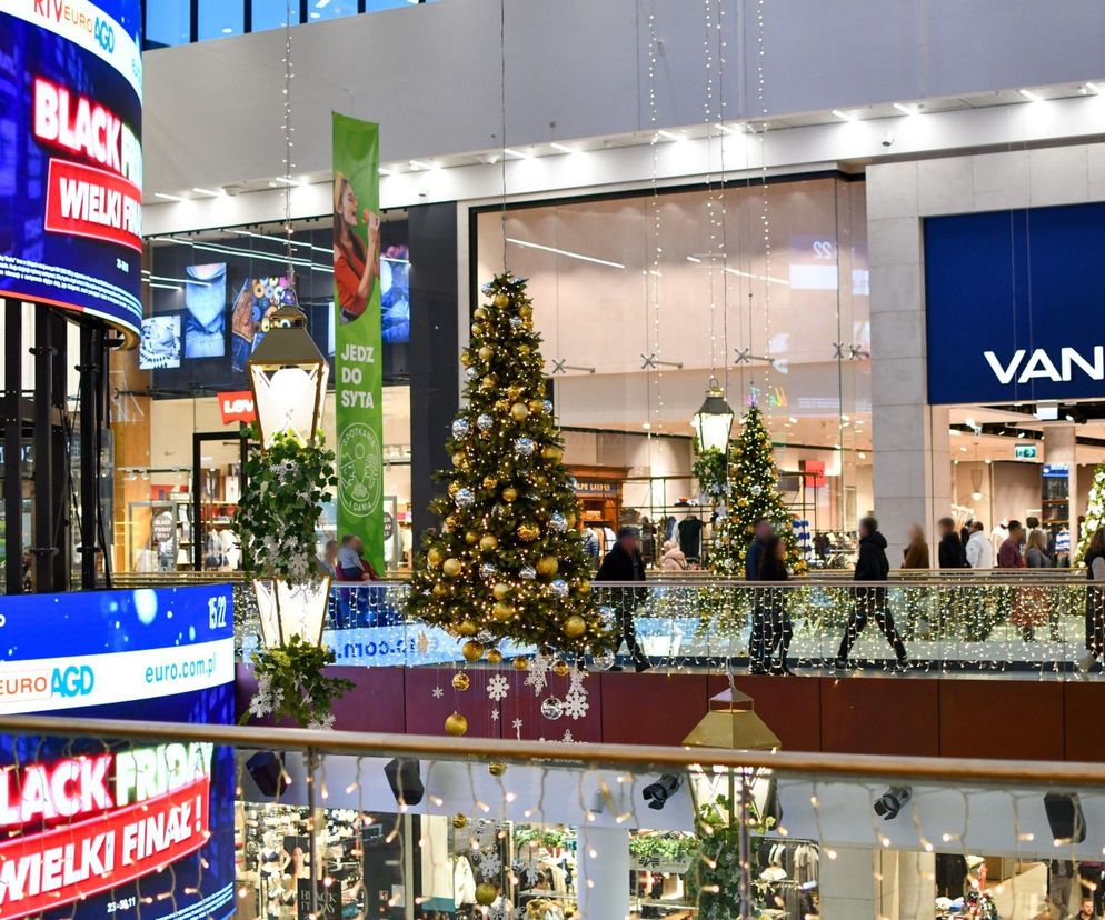 Galeria handlowa w Warszawie rozda darmowe choinki. Jest jeden warunek