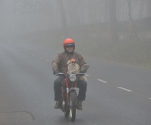 Nika motocyklistka z Sandomierza