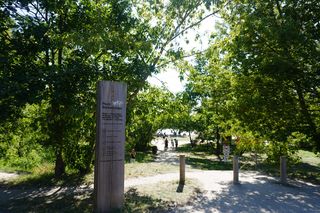 Plaża Romantyczna nad Wisłą w Warszawie