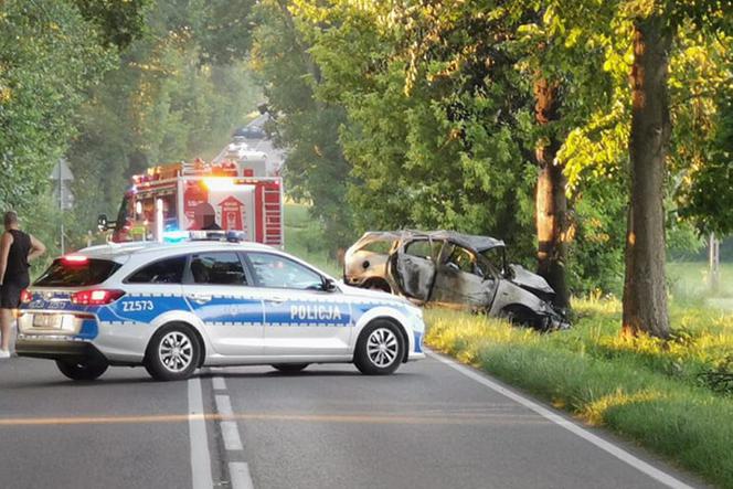 Mężczyzna spłonął na miejscu. Pożar gasili przejeżdżający kierowcy