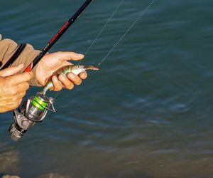 Festiwal Wędkarstwa i Survivalu w Targach Kielce – święto pasji i przygody