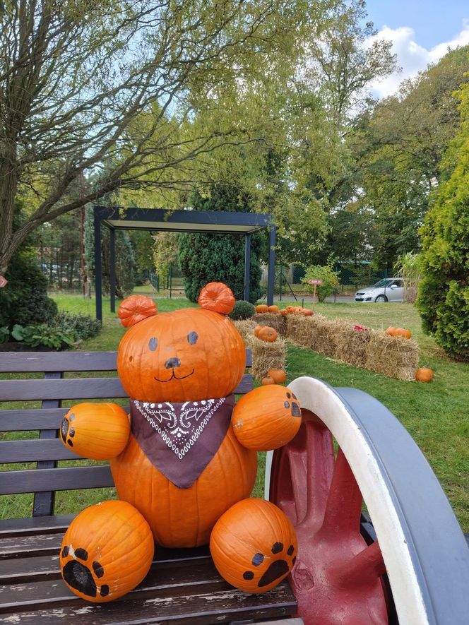 Jesienna atrakcja dla całej rodziny. Zabytkowa stacja w Rudach zaprasza na Pumpkin Express