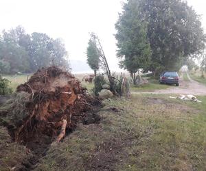 Rolnicy. Podlasie. Maciej z Kundzicz liczy straty. Wichura spustoszyła mu farmę