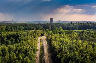 Polska Miedź dba o piękno natury 