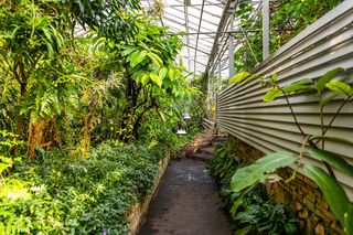 Ogród botaniczny w Warszawie