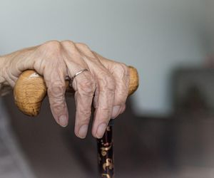 Seniorka zmarła w Szpitalu Bielańskim, nikt nie wie kim jest. Policja prosi o pomoc