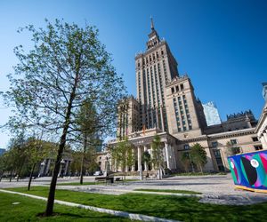 10 tys. zł dla WOŚP za drzewko na pl. Centralnym. Wyjątkowy gest pracowników firmy Balzola