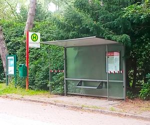 Ohlsdorfer Friedhof w Hamburgu