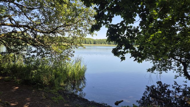 To jedno z największych jezior w Olsztynie. Kusi turystów piaszczystymi plażami