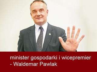 minister gospodarki i wicepremier - Waldemar Pawlak