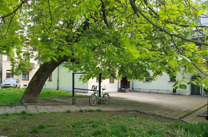 Wiosna w Zamościu