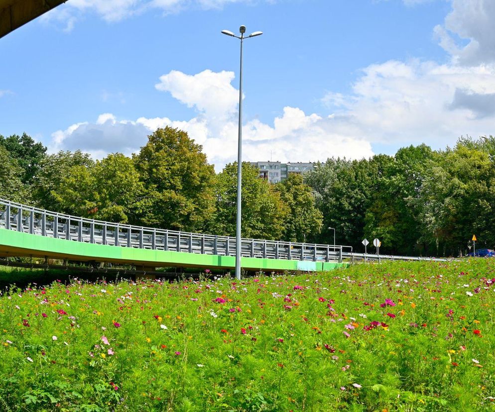 Głosowali na nią tysiące mieszkańców! Nowa inwestycja zrewolucjonizuje Białystok