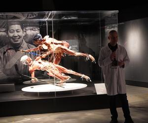 Wystawa z ludzkiego ciała. Body Worlds powróciła do Gdańska po 5 latach 