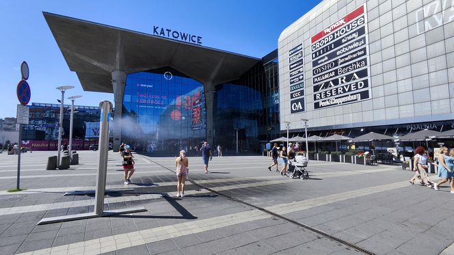 Katowice jak patelnia. Obowiązuje ruch cieniostronny. Nawet gołębie chowają się w cieniu