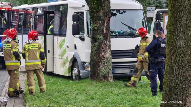 Bus przewożący dzieci uderzył w drzewo. Policja wstępnie ustaliła przyczynę wypadku
