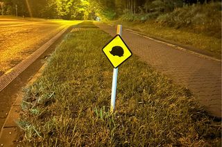 Nietypowe znaki drogowe w Piekarach Śląskich. Ostrzegają o... jeżach. Tak miasto dba o bezpieczeństwo małych ssaków