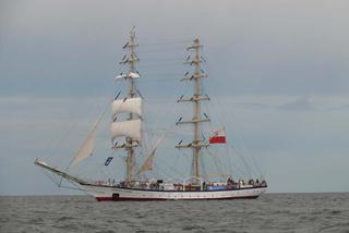 ParadaZagleGdyni2014_FotMZwierz_710399