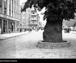 Tak kiedyś wyglądała Gdyni. Mamy zdjęcia sprzed 80 lat. Poznajecie te miejsca? 