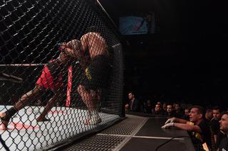 MMA. UFC Fight Night. Simon – Borg. Typy, kursy (14.05.2020)