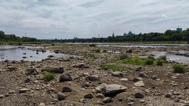 Warszawa. Rekordowy stan wody w Wiśle