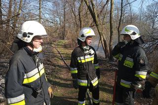 Potężny pożar na Śląsku! Strażacy kilka godzin walczyli z ogniem