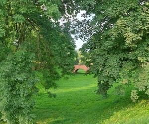 Magiczne zakątki zamojskiego Parku Miejskiego