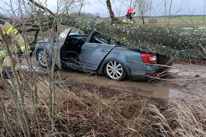 Groźne wichury na Warmii i Mazurach. Drzewo spadło na jadące auto, jedna osoba ranna