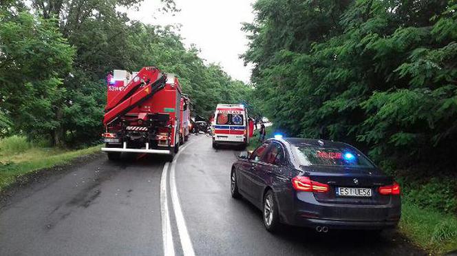 Śmiertelny wypadek w m. Redzeń pod Sieradzem. 71-latek WJECHAŁ NA CZOŁÓWKĘ w auto z dzieckiem