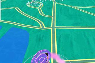 Park Śląski Pokemon Go