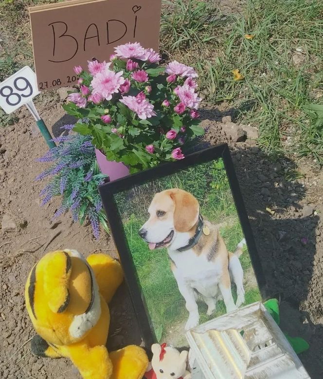 W całym woj. śląskim jest tylko jeden taki cmentarz. Miejsce, gdzie pamięć o pupilu nie umiera