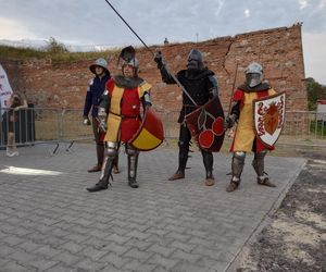 Muzeum Śląskie wraca z przytupem. Piknik rycerski, koncerty i wyjątkowa wystawa