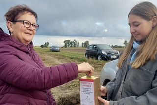 Samozbiory pomidorów na plantacji w Niewirkowie cieszą się powodzeniem